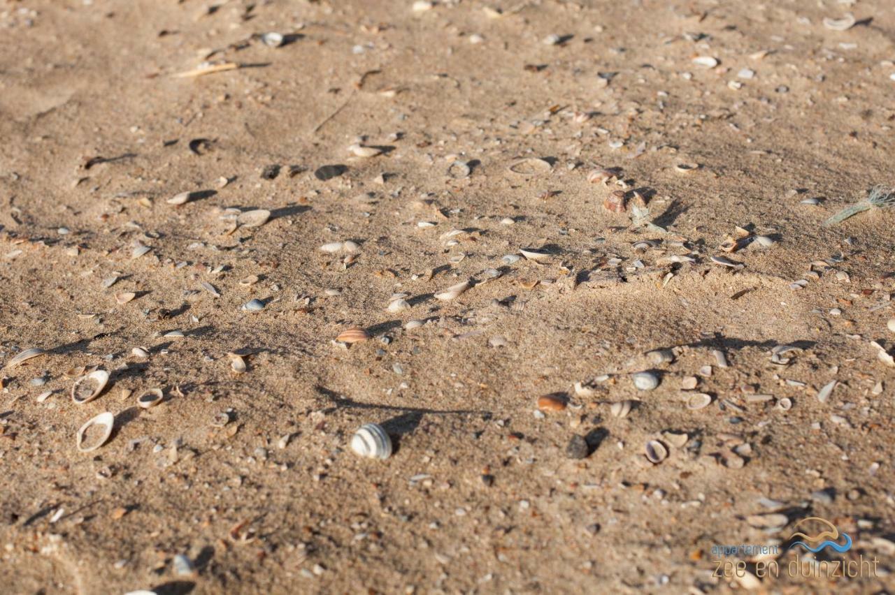 Appartement Zee En Duinzicht 84 Katwijk aan Zee Esterno foto